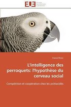 L'intelligence des perroquets: l'hypothèse du cerveau social
