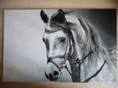Deurmat 40x60 Paard Black&White