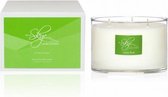 Voor de echte citrus liefhebber | Citrus Rush | 3 Wick | 100% natuurlijke soja was en etherische oliën | >45 uur genieten en brandt helemaal op | Er zijn geen betere geurkaarsen | Handgemaakt