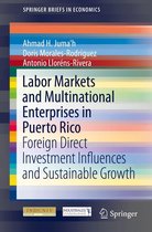 SpringerBriefs in Economics - Labor Markets and Multinational Enterprises in Puerto Rico