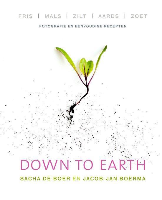 Sacha de Boer - Down to Earth