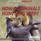 Let's Find Out! Animals - How Do Animals Hunt and Feed?