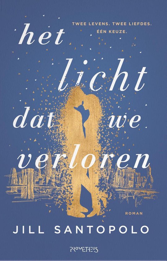 Omslag van Het licht dat we verloren