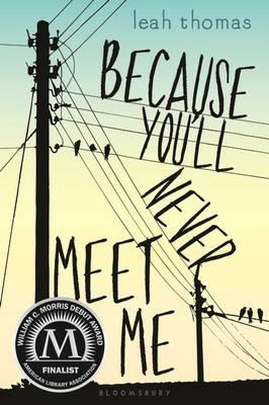 Boekomslag met de titel 'Because You'll Never Meet Me' van leah thomas. Elektriciteitspalen en draden op een pastelkleurige achtergrond.