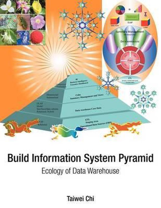 Build Information System Pyramid | 9781468501513 | Taiwei Chi | Boeken ...