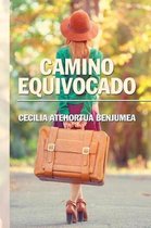 Camino equivocado