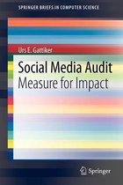 Social Media Audit