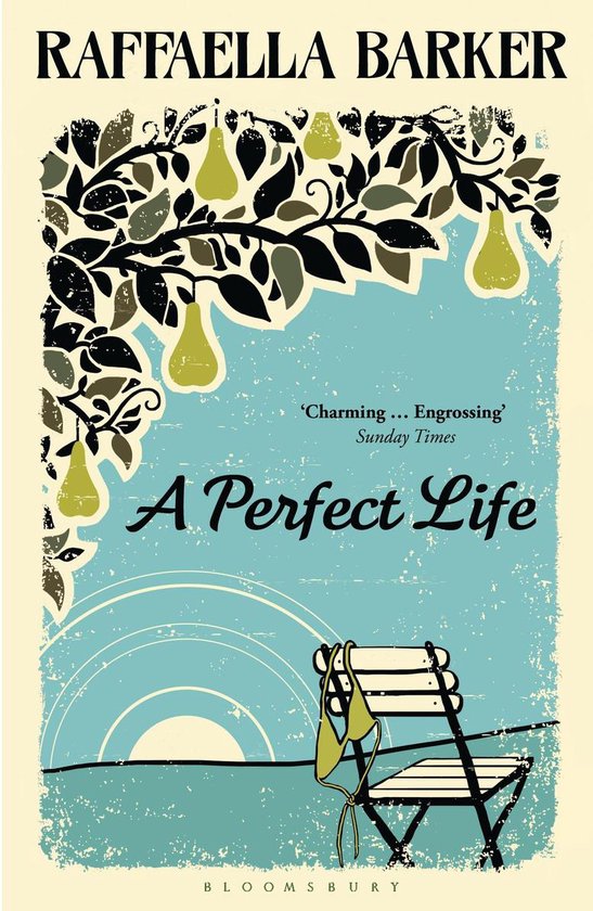 Boek cover A Perfect Life van Raffaella Barker (Onbekend)