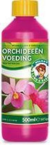 Wilma Orchid 500 ml