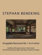 Stephan Beneking: Amygdala Nocturne No. 1 in A minor: Beneking