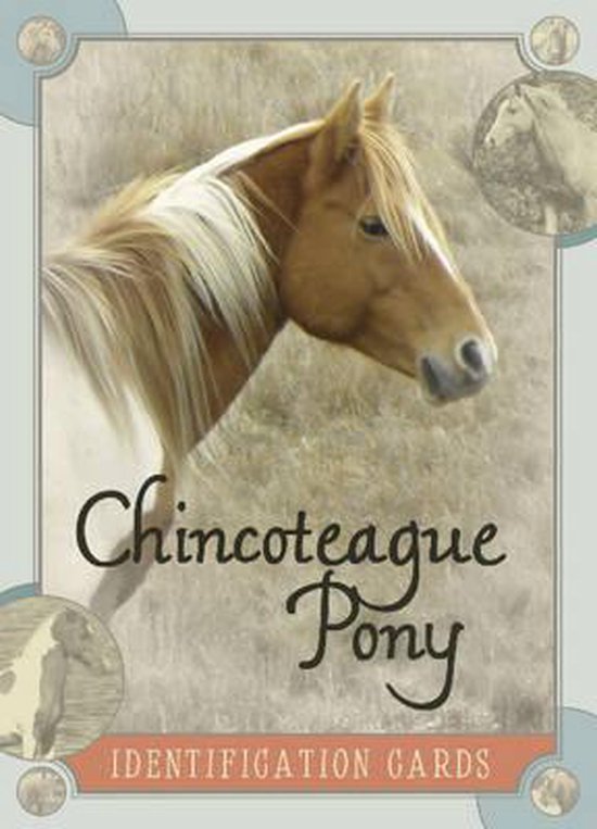 Boek cover Chincoteague Pony Identification Cards van Lois Szymanski (Paperback)