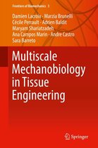 Frontiers of Biomechanics 3 - Multiscale Mechanobiology in Tissue Engineering