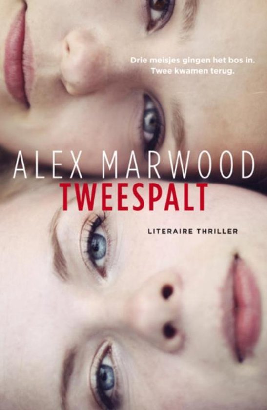 Cover van het boek 'Tweespalt' van Alex Marwood