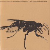 Sounds of Insects