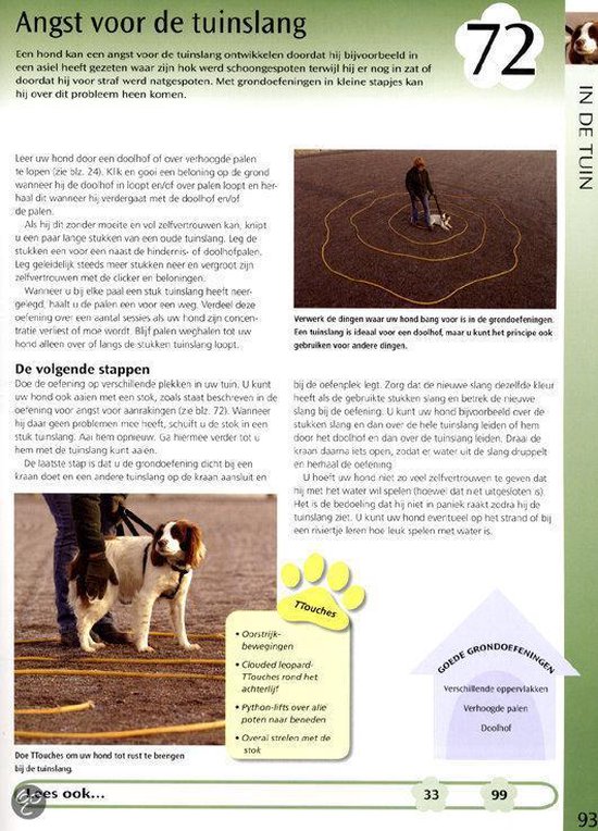 Een persoon traint een hond in de tuin met een gele touwlus.