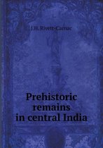 Prehistoric remains in central India