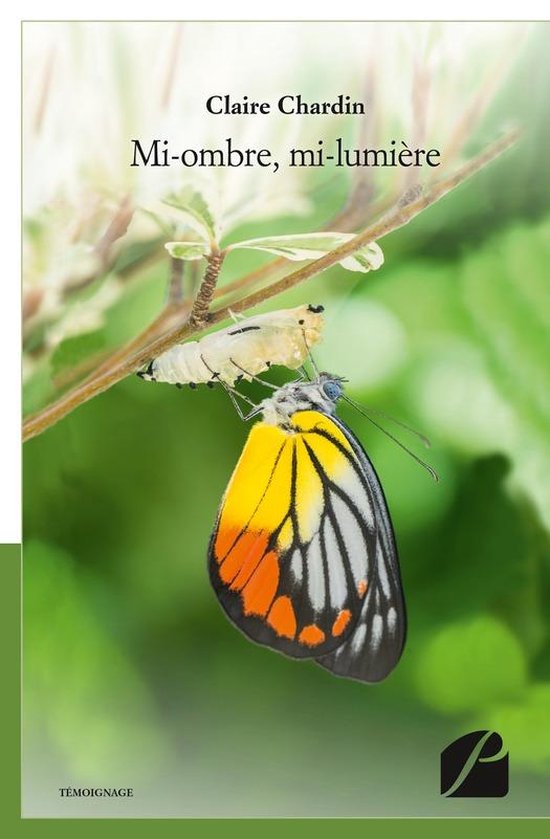 Témoignage - Mi-ombre, mi-lumière - cover