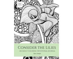 Bible & Art, Book- Consider the Lilies