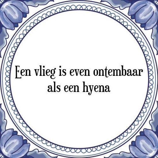 Tegeltje met spreuk