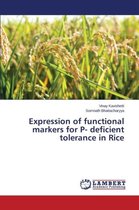 Expression of functional markers for P- deficient tolerance in Rice