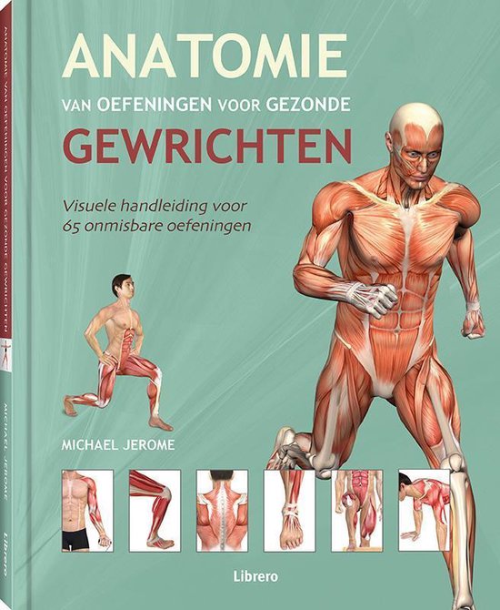 Anatomie van oefeningen voor gezonde gewrichten