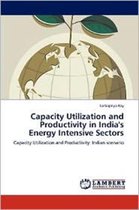 Capacity Utilization and Productivity in India's Energy Intensive Sectors
