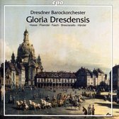 Hassegloria Dresdensis