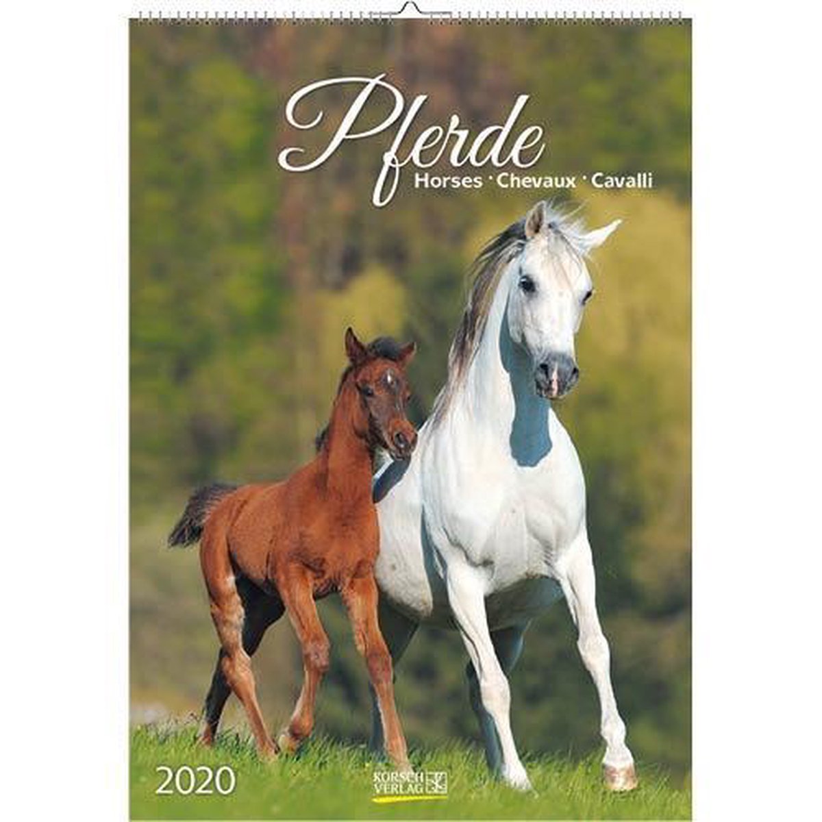 Paardenkalender 2020