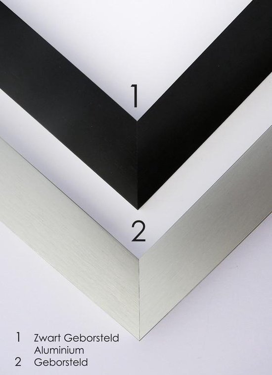 Homedecoration Toronto? Cadre photo? Taille de la photo: 47x84 cm? aluminium brossé