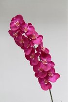 Zijdebloem orchidee roze 110cm
