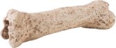 Exo Terra Dino Shelter Bone Nano  | 19 cm