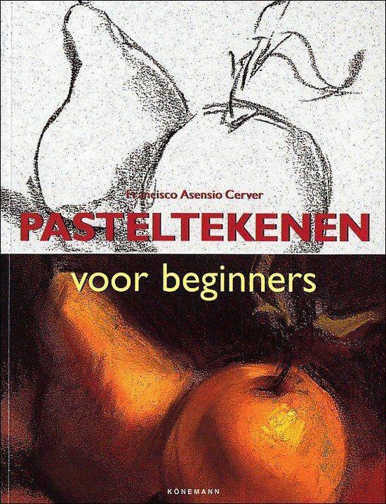 9783833117336 - Pasteltekenen Voor Beginners