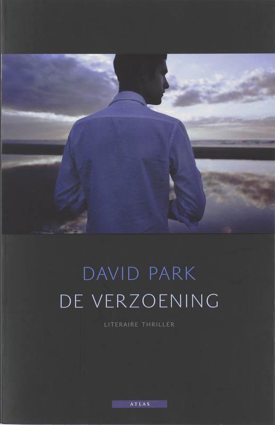 Boekomslag van "De Verzoening" door David Park. Een man in wit hemd staat op het strand bij zonsondergang.