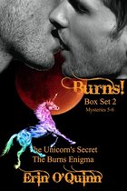 Omslag Burns! Box Set Two (Mysteries 5-6)