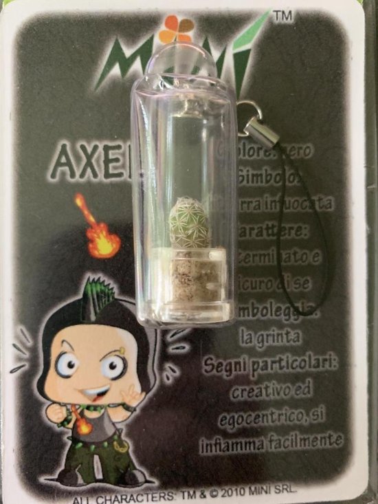 Dicteren steen Bewolkt Axel - mini - mini plant - mini sleutelhanger - sleutel hanger - cactus  -... | bol.com