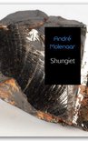 Shungiet Shungiet