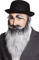 8 pièces: Set Barbe Vieil homme avec sourcils et moustache