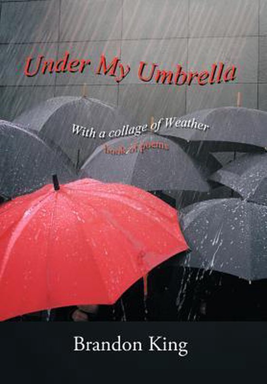 Under My Umbrella, Brandon King 9781468564013 Boeken