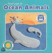 First Look at Ocean Animals