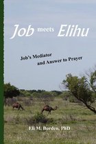 Job Meets Elihu