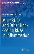 MicroRNAs and Other Non-Coding RNAs in Inflammation