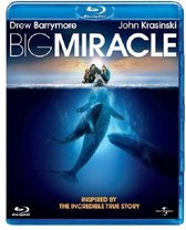 Big Miracle (bluray)