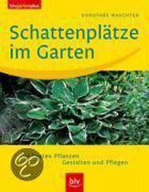 Schattenplätze Im Garten