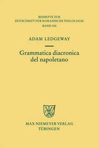 Beihefte Zur Zeitschrift F�r Romanische Philologie- Grammatica Diacronica del Napoletano