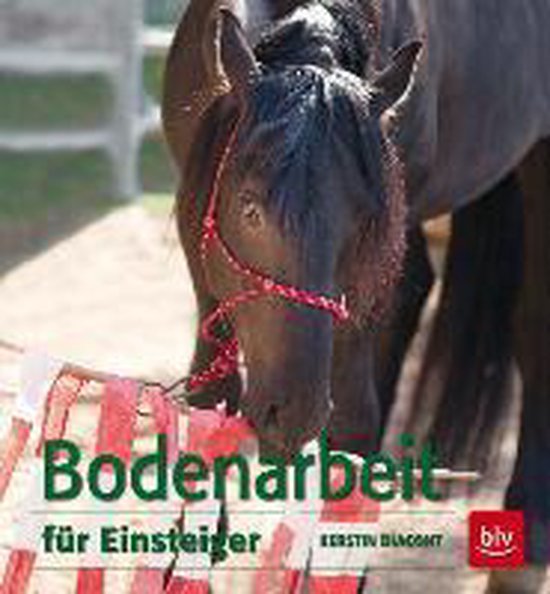 Bodenarbeit für Einsteiger - cover