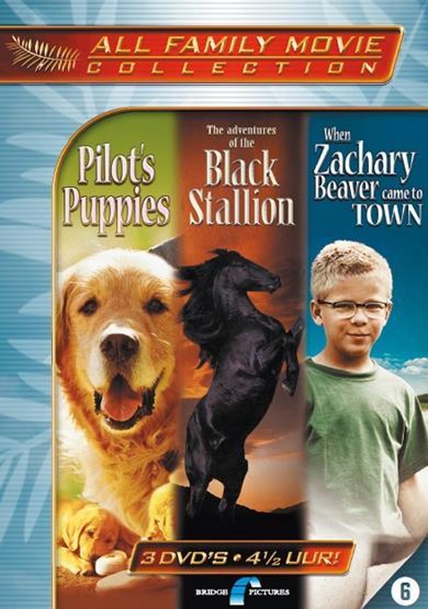All Family Movie Collectie
