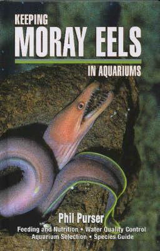 Keeping Moray Eels in Aquariums
