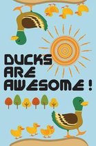 Ducks Are Awesome!