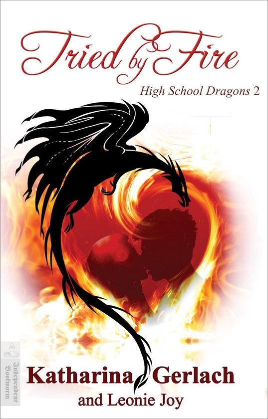 High School Dragons 2 - Tried by Fire - cover
