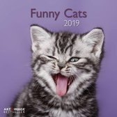 Funny Cats Kalender 2019 incl. jaarposter